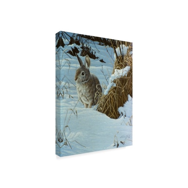 Wilhelm Goebel 'Snow Cover Cottontail' Canvas Art,14x19